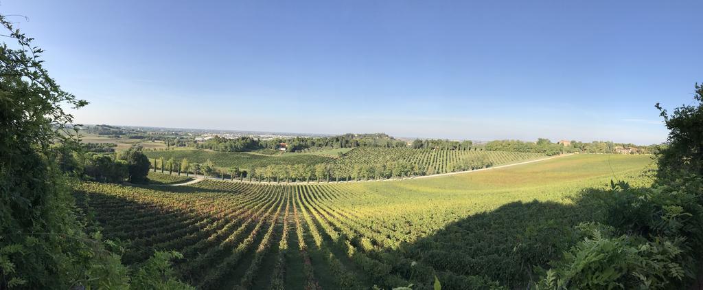 Fattoria Paradiso Бертиноро Экстерьер фото